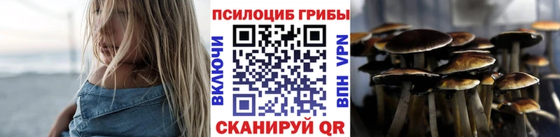 Псилоцибиновые грибы GOLDEN TEACHER  Приморск 